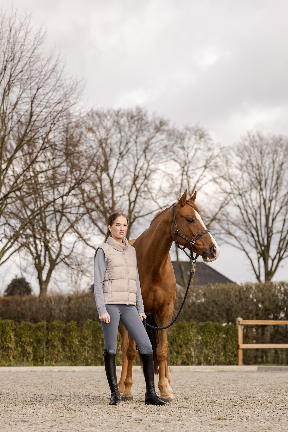 Ariat Women's Martine Sweatshirt Women’s Riding Clothing