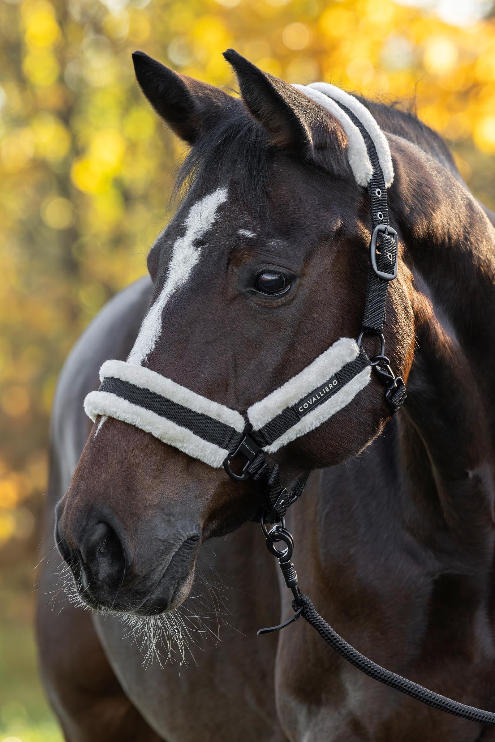 Lifestyle shot 1