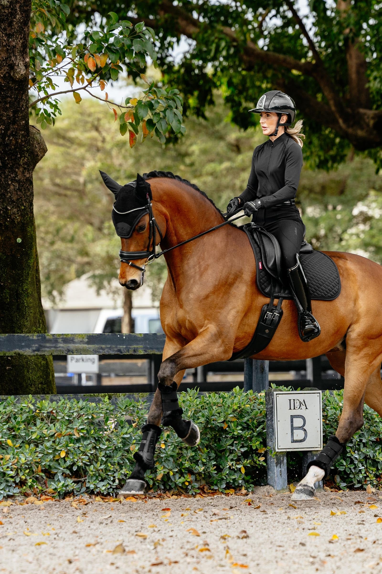 LeMieux Brilliance Fly Hood Saddle Pads