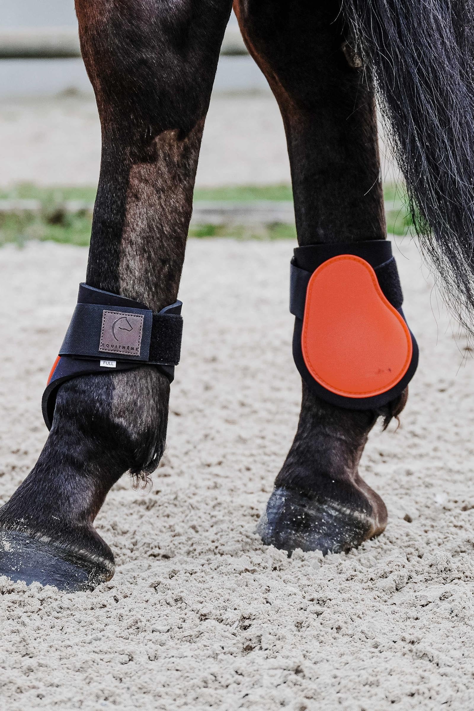EQUITHÈME Tara Fetlock Boots Leg & Hoof Protection