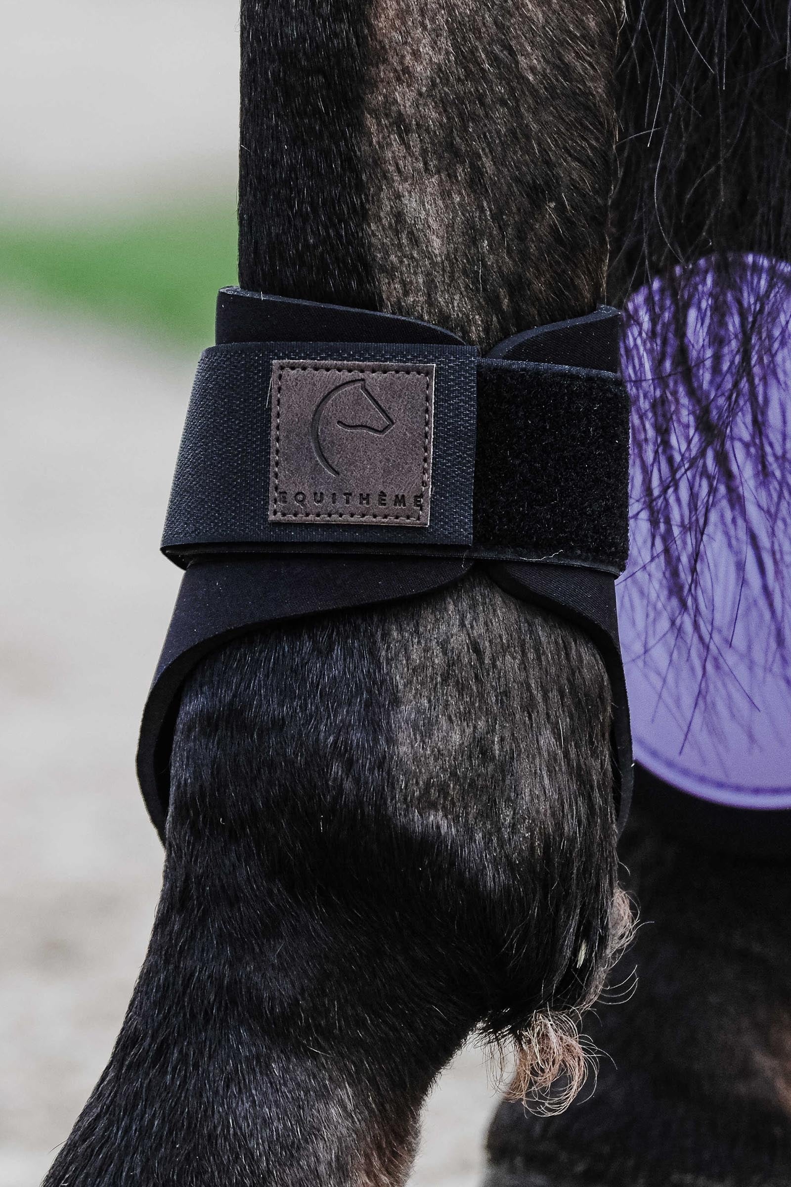 EQUITHÈME Tara Fetlock Boots Leg & Hoof Protection