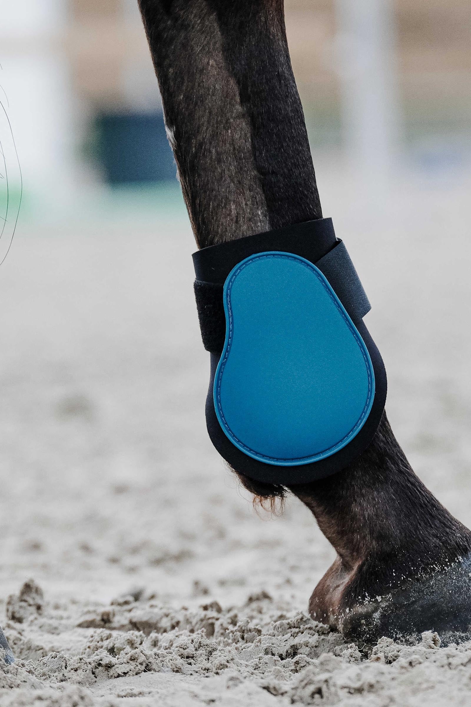 EQUITHÈME Tara Fetlock Boots Leg & Hoof Protection
