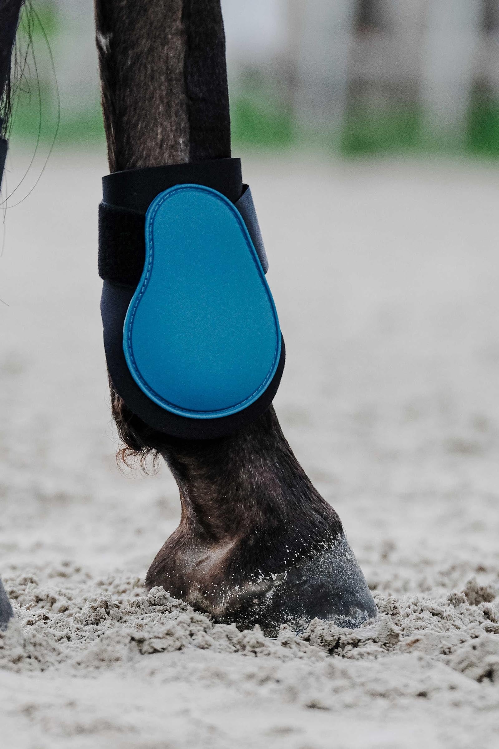 EQUITHÈME Tara Fetlock Boots Leg & Hoof Protection