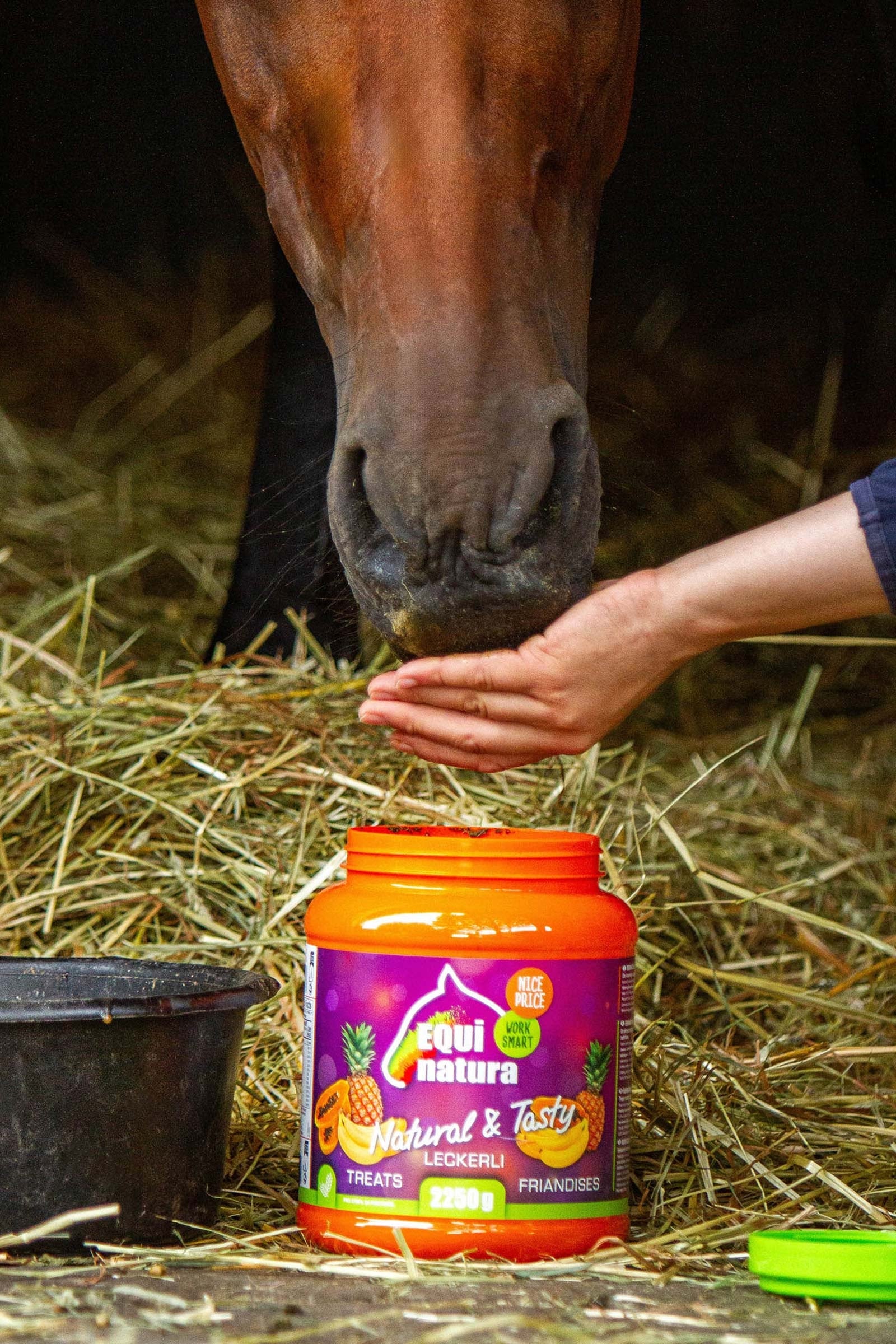 Equinatura Natural & Tasty Treats, 2250 g Horse Feed & Nutrition