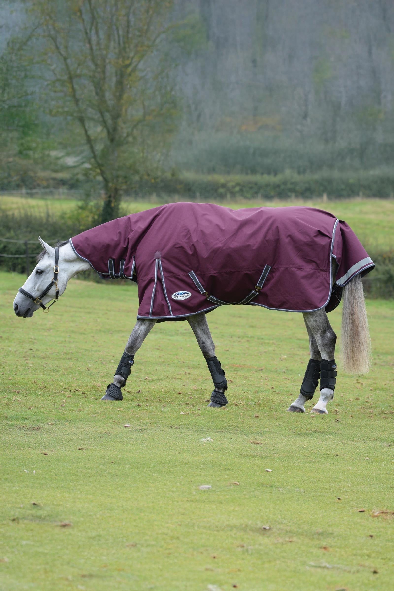 Weatherbeeta Comfitec Plus Dynamic II Turnout Rug With Fixed Neck, 100g Horse Rugs