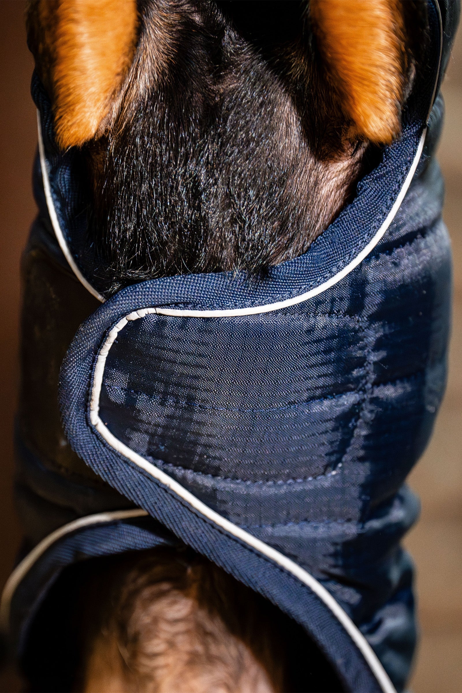 Horseware Signature Dog Rug Dog Accesories