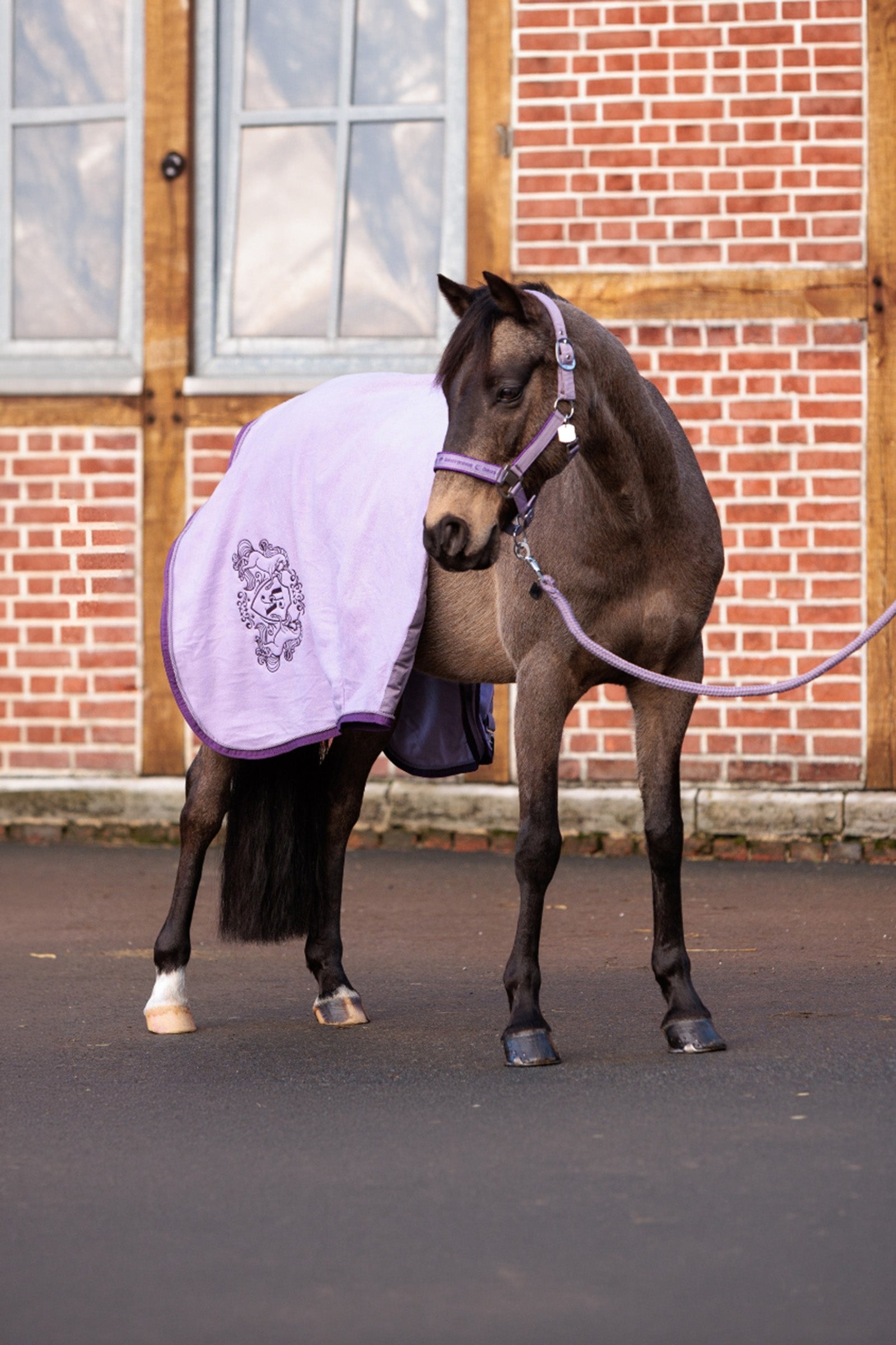 Kavalkade Unicorn Academy Fleece Cooler mit Zierkordel Pferdedecken