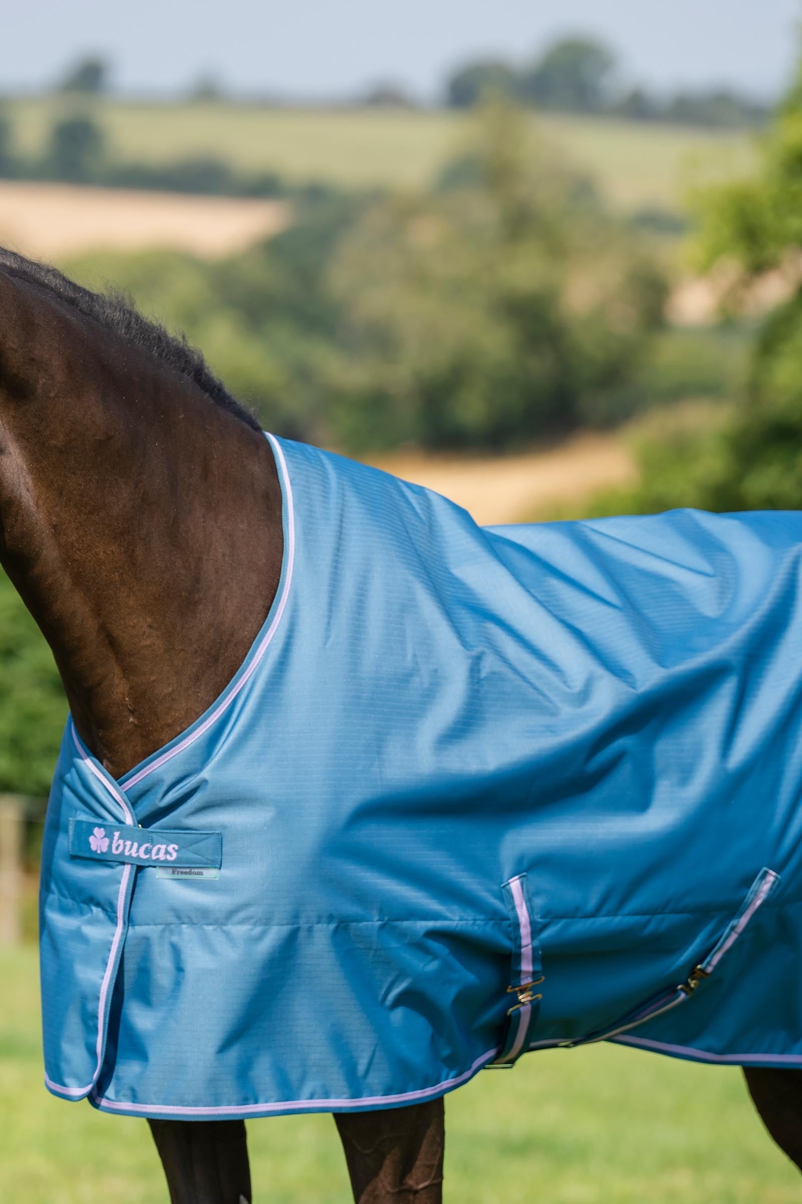Bucas Freedom Pony Turnout Rug, 150g Horse Rugs